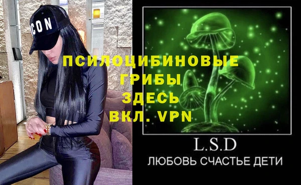 метадон Алексин