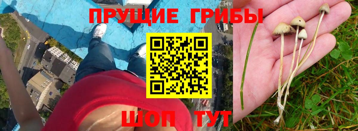 Мефедрон  КЕТАМИН  Гурьевск  Купить  Мефедрон кристаллы  Вход с VPN  Гашиш  Cocaine 